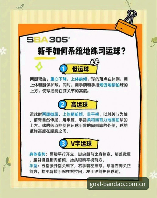 2026半岛体育最新版下载实用指南：新手必备操作技巧与注意事项